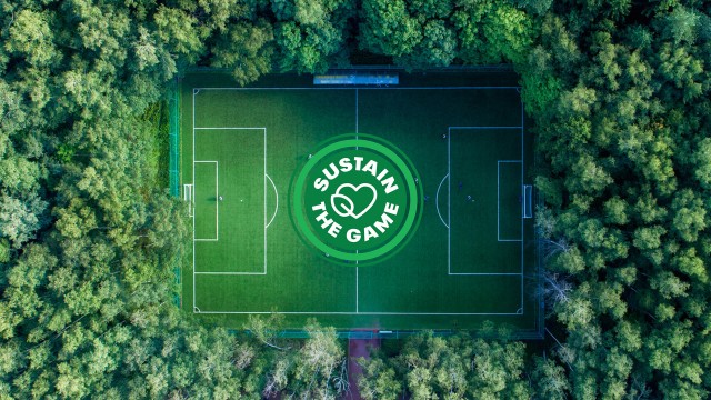 bird view of a FieldTurf field surrounded by trees